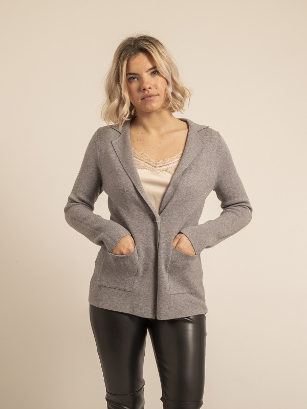Blazer en maille UPLANA - Gris